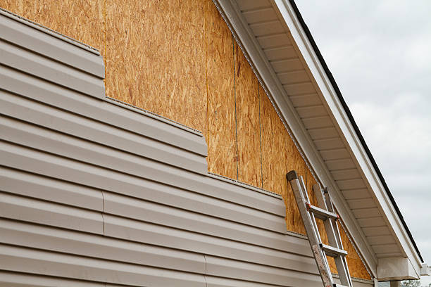 Professional Siding Repair technician working in Williamstown, WV